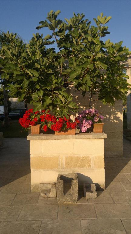 Hotel Masseria Grande à Torre dell'Orso Extérieur photo